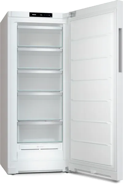 FN 4322 D-1 Gefrierschrank
