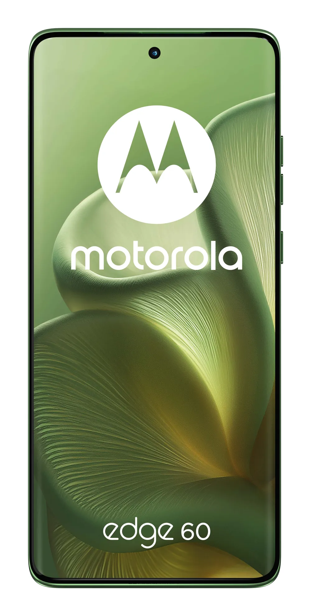 Motorola Edge 60 5G 8GB 256GB 6.67" Grün Shamrock