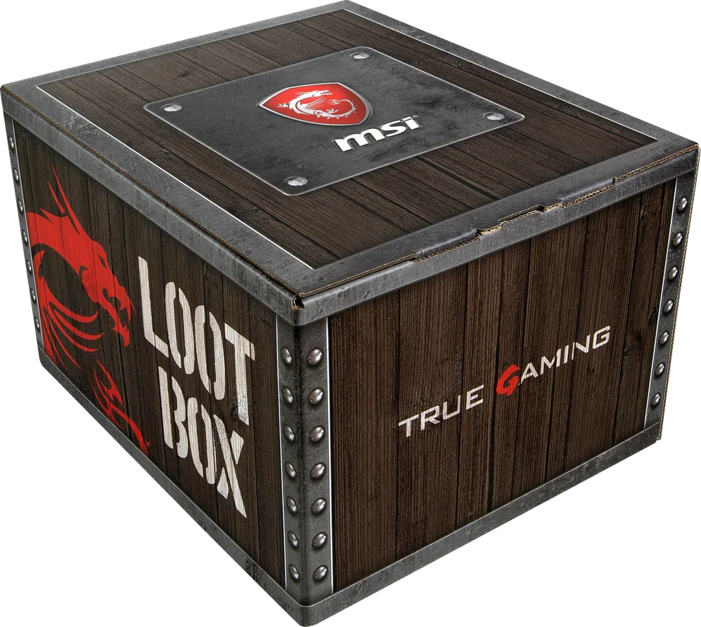 MSI Loot Box für GE-/GS-/GT-Serie (Level 2) | 957-1xxxxe-066 |