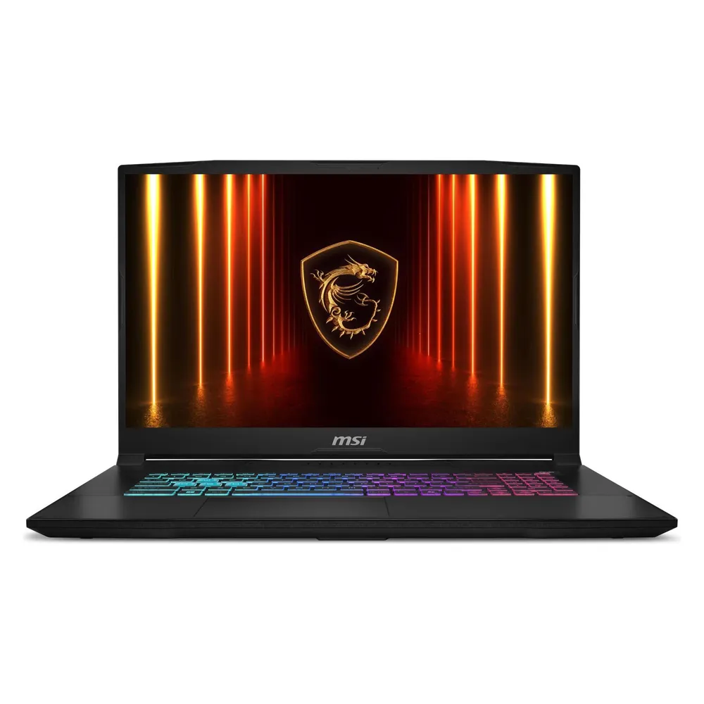 MSI Katana 17 HX (17.30", 250 GB, 16 GB, DE, Intel Core i7-14650HX)