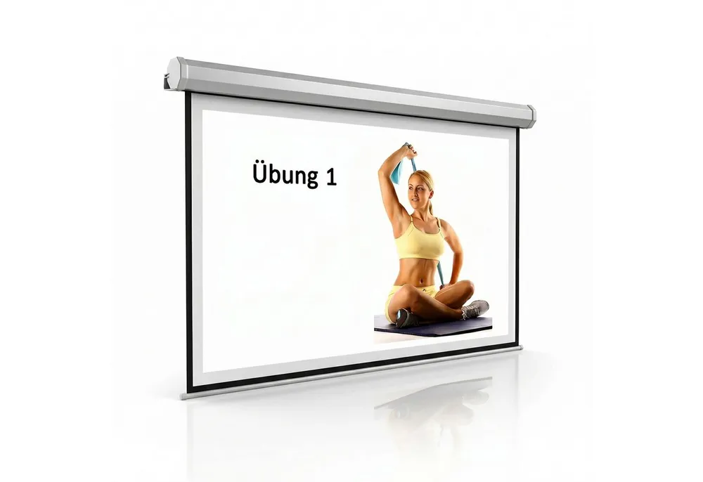 Mucola Motor Leinwand 244x182 Beamerleinwand Beamer inkl FFB Heimkino Motorleinwand (HDTV tauglich)
