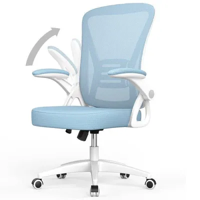 Ergonomischer Bürostuhl Naspaluro mit Höhenverstellbarer Rücken- und Lendenwirbelstütze - Blau