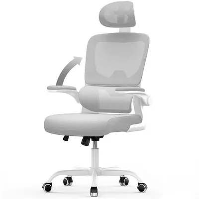 Ergonomischer Bürostuhl Naspaluro mit klappbaren Armlehnen 90° und Lendenstütze grau