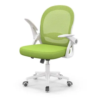 Bürostuhl Naspaluro ergonomisch höhenverstellbar grün