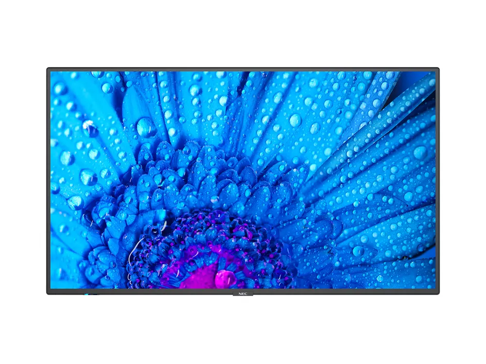 NEC Display MultiSync M491 | 60005051 | Digital Signage Flachbildschirm - 124,5 cm (49")
