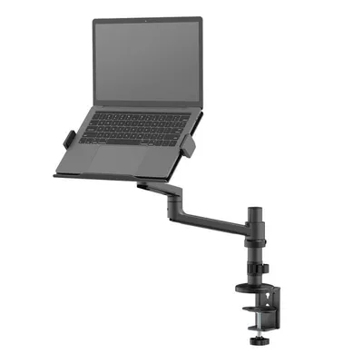 Neomounts DS20-425BL1 laptop-ständer Laptop-Arm Schwarz 43,9 cm (17.3")