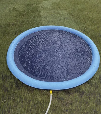 Nobby Hundepfeife Nobby Hunde-Splash-Pool Ø 100 cm
