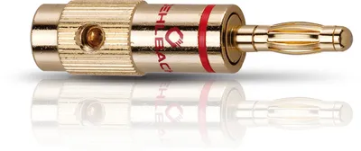 Banana B1 bis 10mm² gold 4St