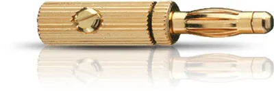 Banana B3 Pin Indu