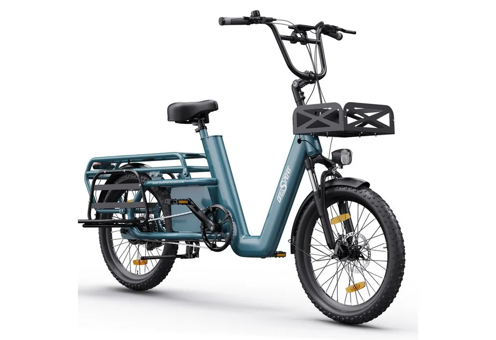 Onesport E-Bike Cityrad OT01 Cargo Damen u. Herren 250W, 48V, Geländereifen 20x2.6, Kettenschaltung, Heckmotor, 1296 Wh, elektrischen Bremshebel mit Scheibenbremesen, 20° Steigfähigkeit