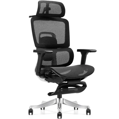 Owlotech Luxa Ergonomischer Schreibtischstuhl aus Netzgewebe mit Fußstütze, Schwarz