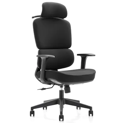 Owlotech Prestige Ergonomischer Schreibtischstuhl, Schwarz