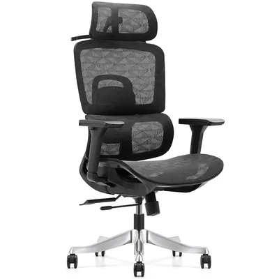 Owlotech Regal Ergonomischer Schreibtischstuhl aus Netzgewebe, Schwarz