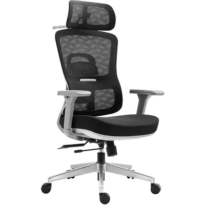 Owlotech Summit Ergonomischer Schreibtischstuhl Schwarz