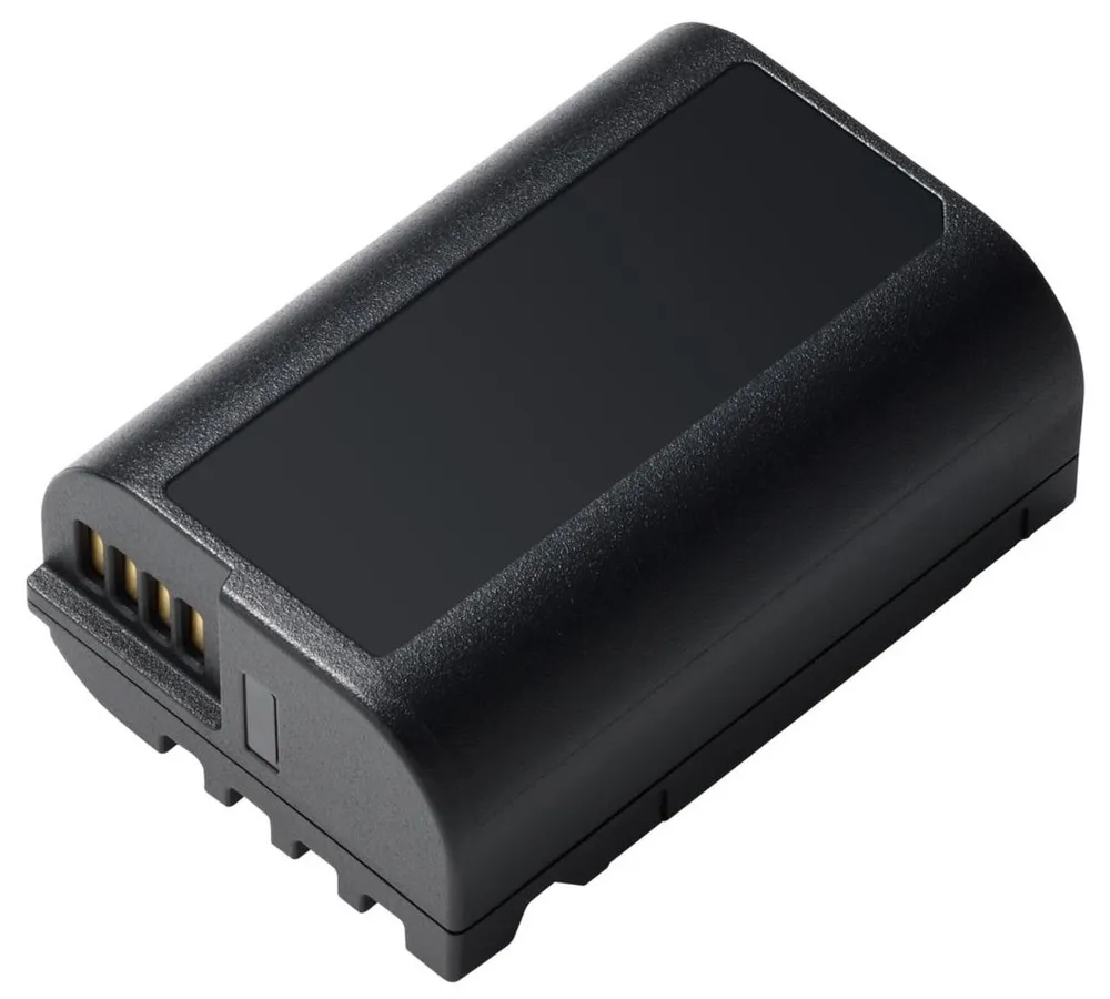 Panasonic Akku DMW-BLK22E