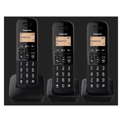 Panasonic KX-TGB613JTB