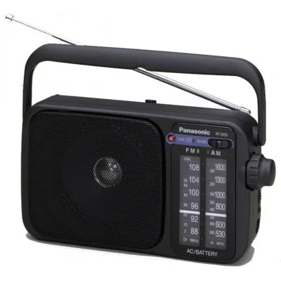 RF-2400DEG-K schwarz Mobiles Radio