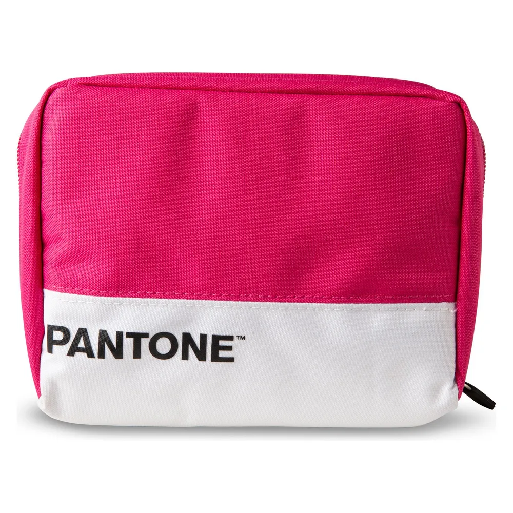 Pantone Celly PT-BPK000P Packhilfe und Organizer Packwürfel 1 Stück