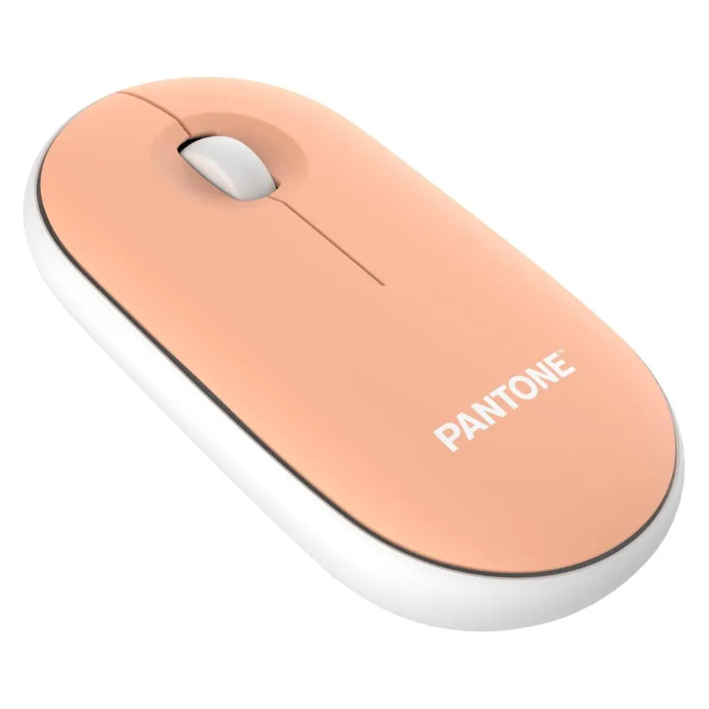 Maus PANTONE PT-MS001E RF kabellos 100 DPI orange ergonomisch