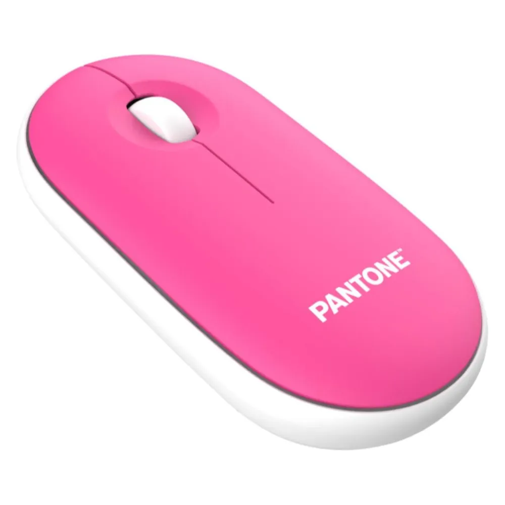 Pantone Maus mit Dongle