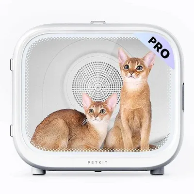 Tierhaartrockner PETKIT AirSalon Max Pro 60L App-Steuerung weiss
