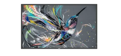 Digitales Display Philips 43BDL3511Q 43 Zoll 4K Ultra HD 18 7