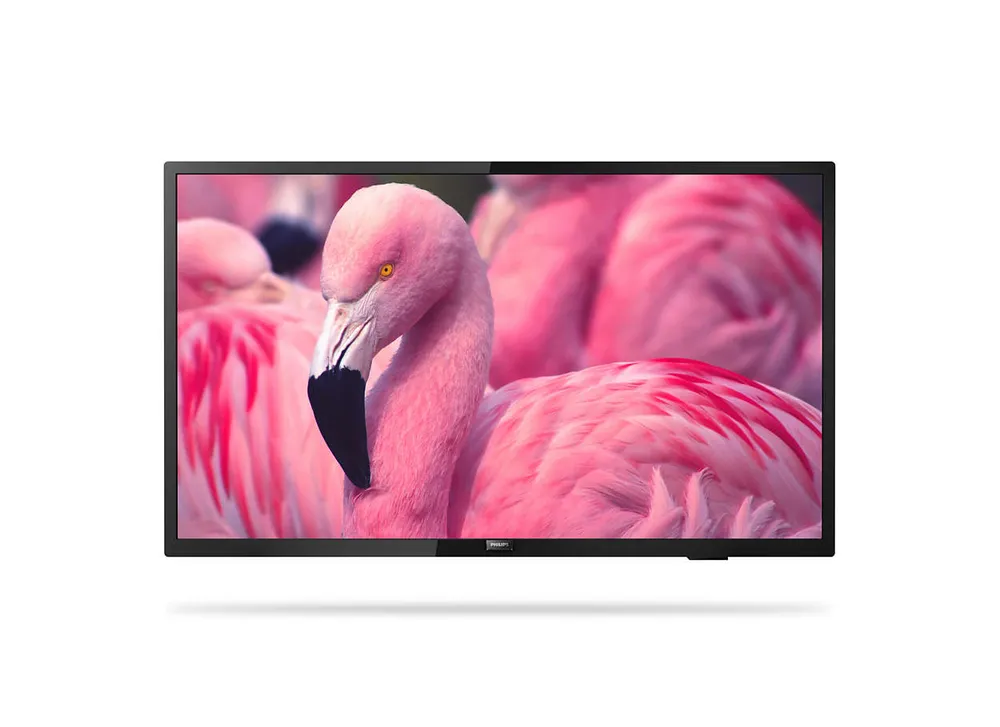 Philips 43HFL4014/12 Gästefernseher 109
