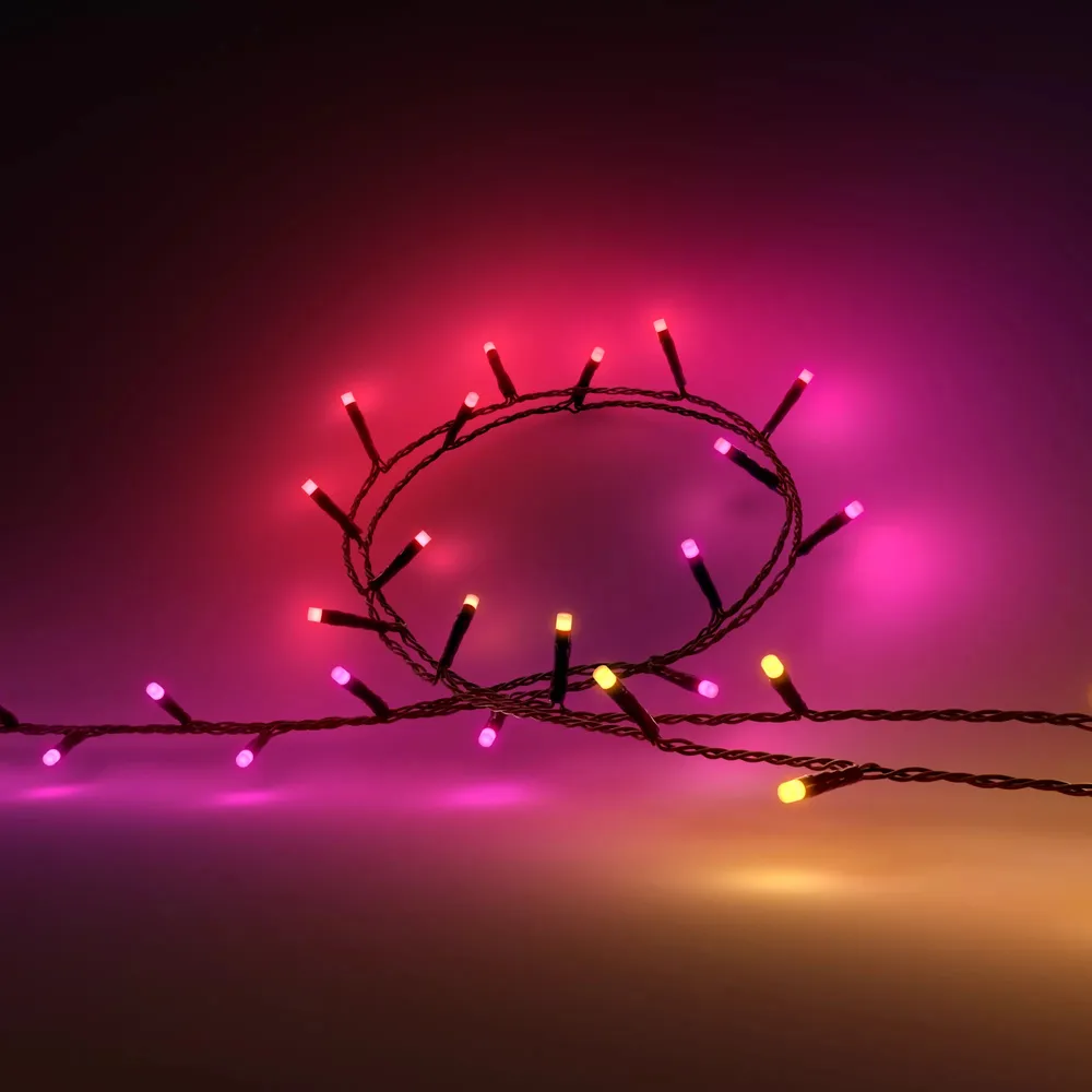 Philips Hue Festavia Lichterkette - 40 Meter - 500 LEDs