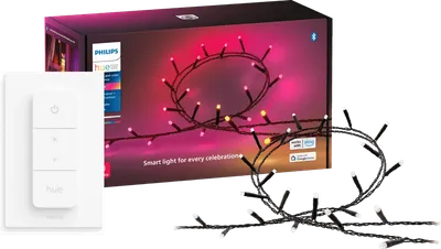 Philips Hue Festavia Lichterkette - 20 Meter - 250 LEDs + Philips Hue Dimmer