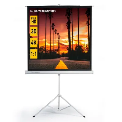 Phoenix Projektorleinwand mit Stativ 80"
