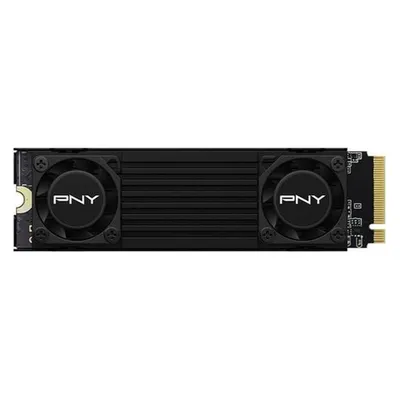 PNY CS3150