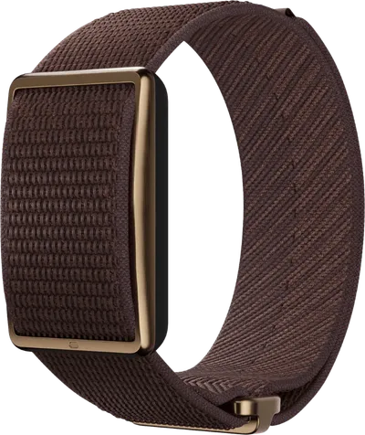 Polar Loop Braun