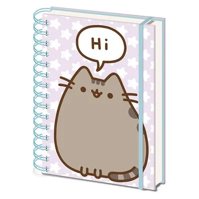Pyramid PUSHEEN - Notebook A5 - Pusheen says Hi