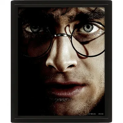 Pyramide 3D-Poster Harry Potter Harry/Voldemort