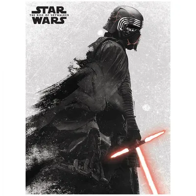 Pyramidenleinwand Star Wars Episode 9 30x40cm
