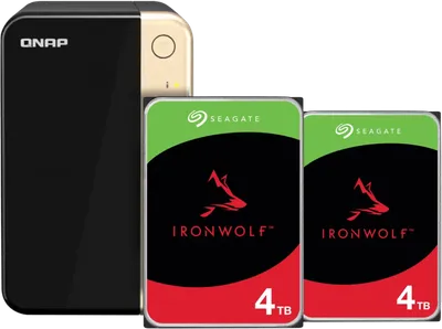 QNAP TS-264-8G + Seagate Ironwolf 4TB Doppelpack
