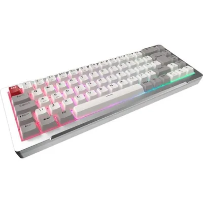 Tastatur RAIJINTEK MGA-68 magnetisch kompakt 65 % mit austauschbaren Switches und RGB
