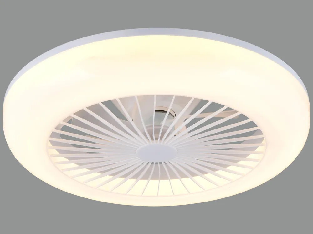 REALITY LED-Deckenleuchte mit Ventilator Mora R64032101