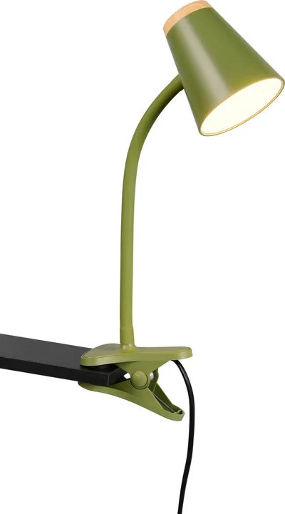 REALITY LED-Klemmleuchte PONGO, R25831115, 4,5W, 500lm, 3000K, grün