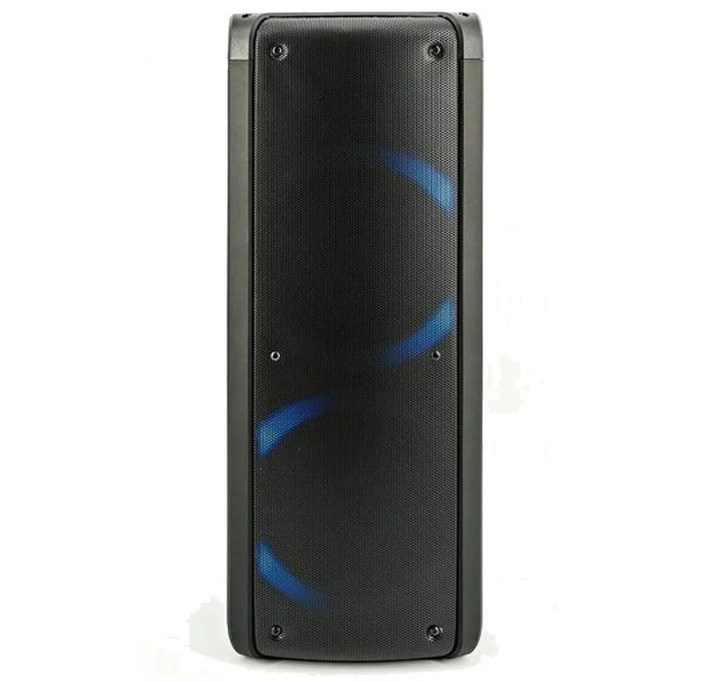 Reflexion PS09BT Mobiler Partylautsprecher mit Radio
