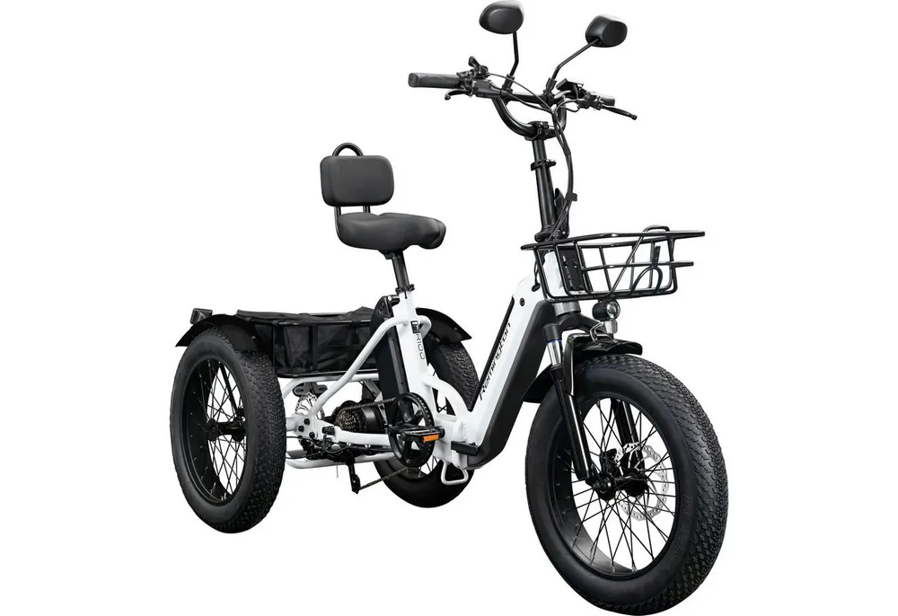 Remington E-Bike Dreirad R100, 7 Gang Shimano TY300 Schaltwerk, Kettenschaltung, Heckmotor, 468 Wh, E Bike Elektro Dreirad 20 Zoll Elektrodreirad 2 Akkus 120km