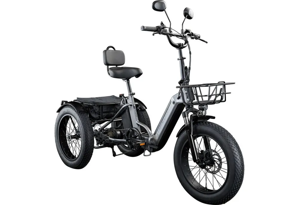 Remington E-Bike Dreirad R100, 7 Gang Shimano TY300 Schaltwerk, Kettenschaltung, Heckmotor, 468 Wh, E Bike Elektro Dreirad 20 Zoll Elektrodreirad 2 Akkus 120km