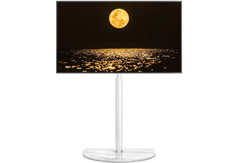 Rfiver TV-Ständer TV-Bodenständer für 32-65 Zoll Fernseher mit ± 25 Grad schwenkbar, (bis 65 Zoll, 1-tlg., höhenverstellbarer Eck-TV-Ständer bis zu 40 kg)