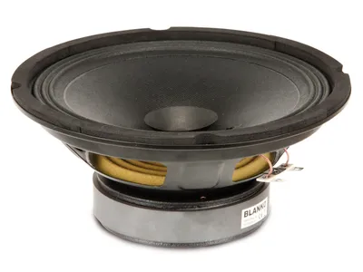 ROCKWOOD PA-Breitband-Lautsprecher DY811U