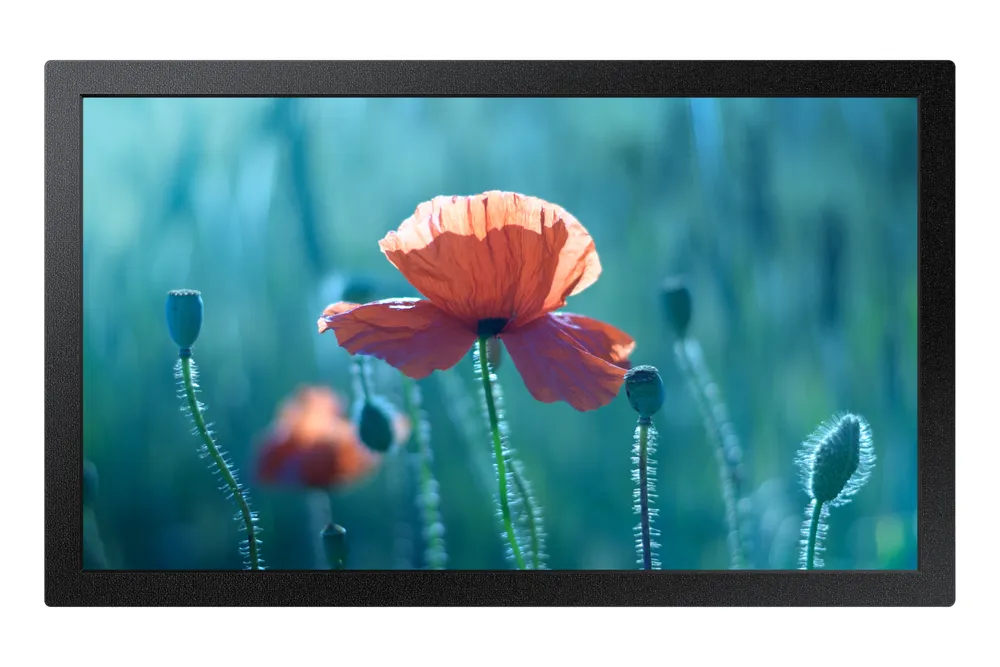 Monitor Samsung QB13C 13" FullHD 8ms ADS WLAN USB-C Indoor Digital Signage