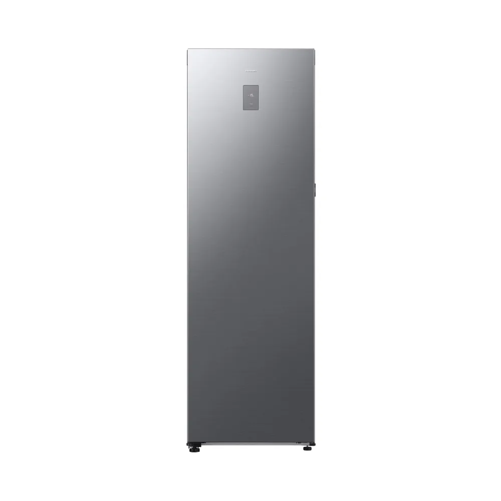 Samsung RZ80H32HDTEF Gefrierschrank - EEK D, 210 kWh/a, 323 l - Silber