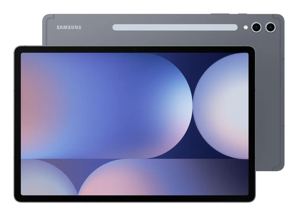 Samsung Galaxy Tab S10+ X826 | sm-x826bzapeub | Moonstone Gray - 12GB RAM
