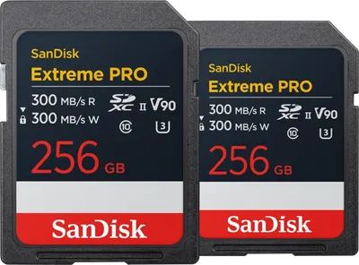 SanDisk microSDXC Extreme 256GB 130 MB/s Doppelpack