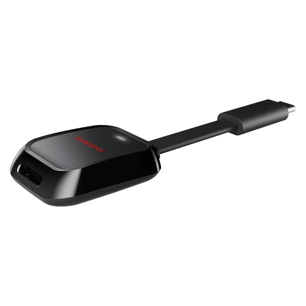 Sandisk Microsd Card With USB-C