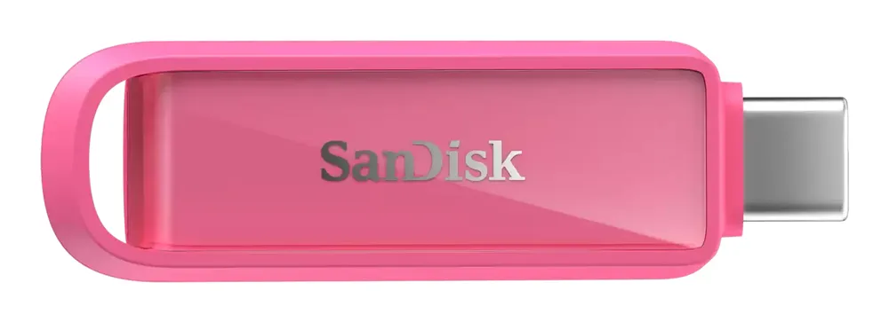SanDisk USB-Flash-Laufwerk | sdixs0n-256g-gn6ng | 256 GB - USB-C